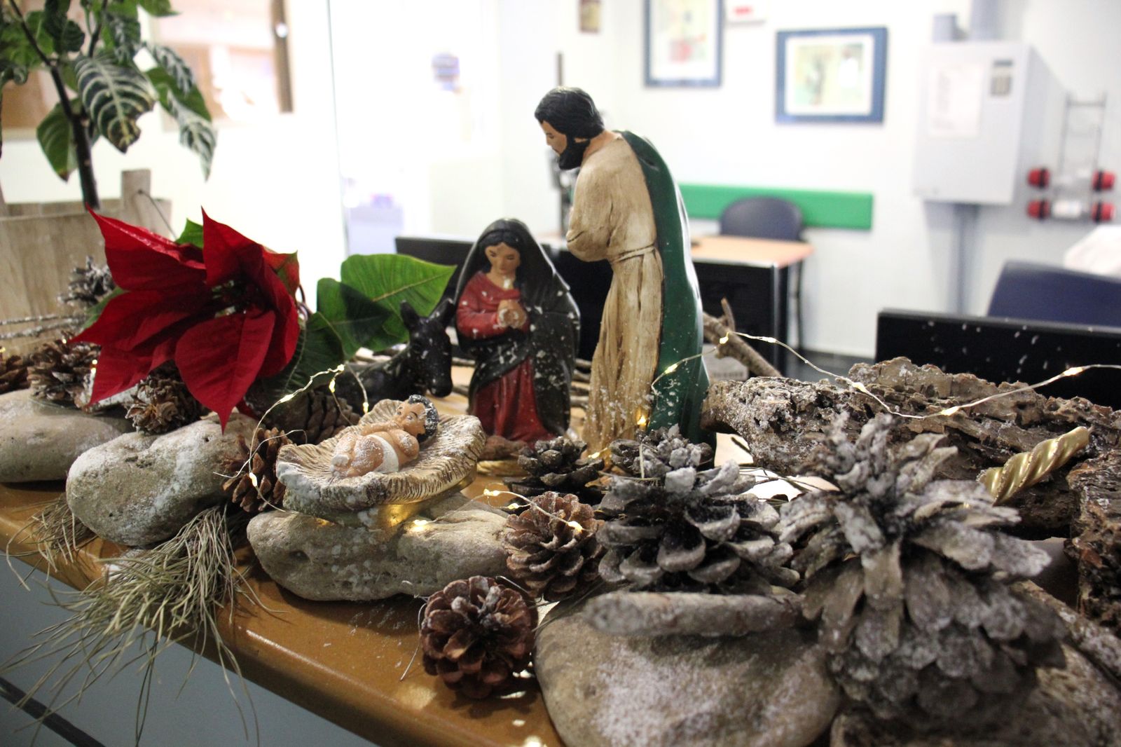 Medicina Interna Infecciosos