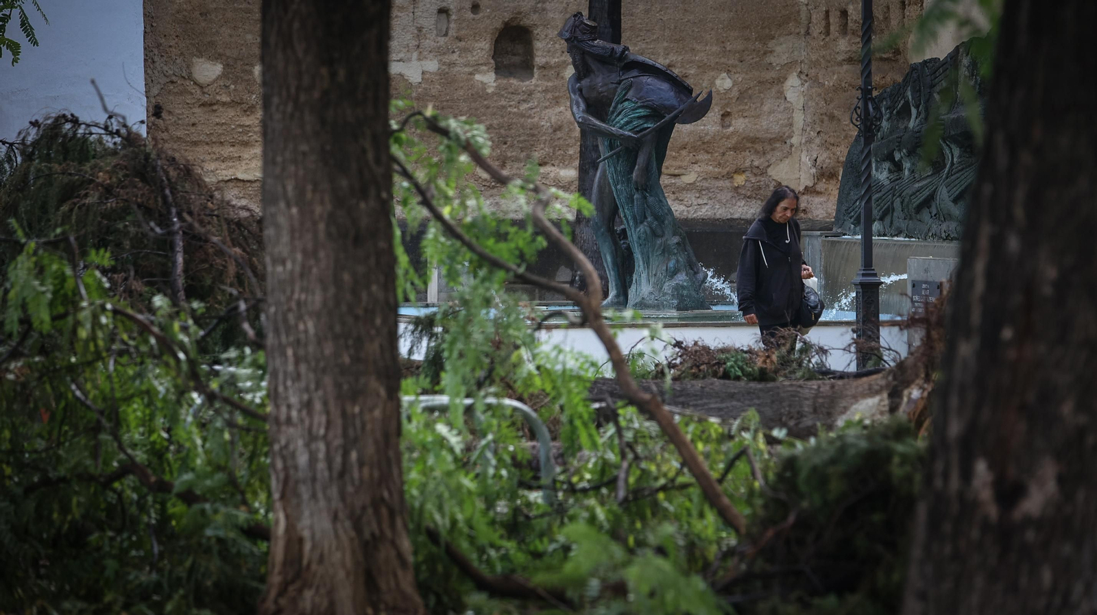 Así está Jerez tras el paso de 'Bernard'