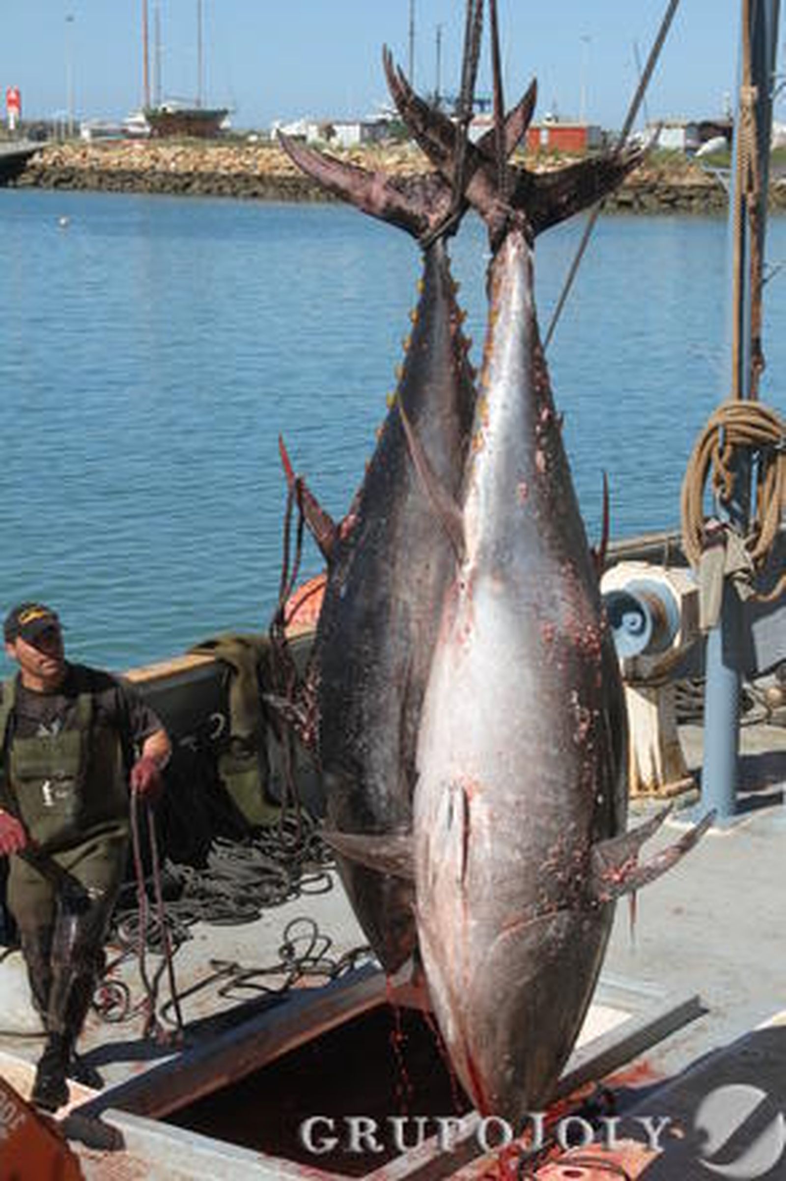 Foto: Manuel Aragon Pina