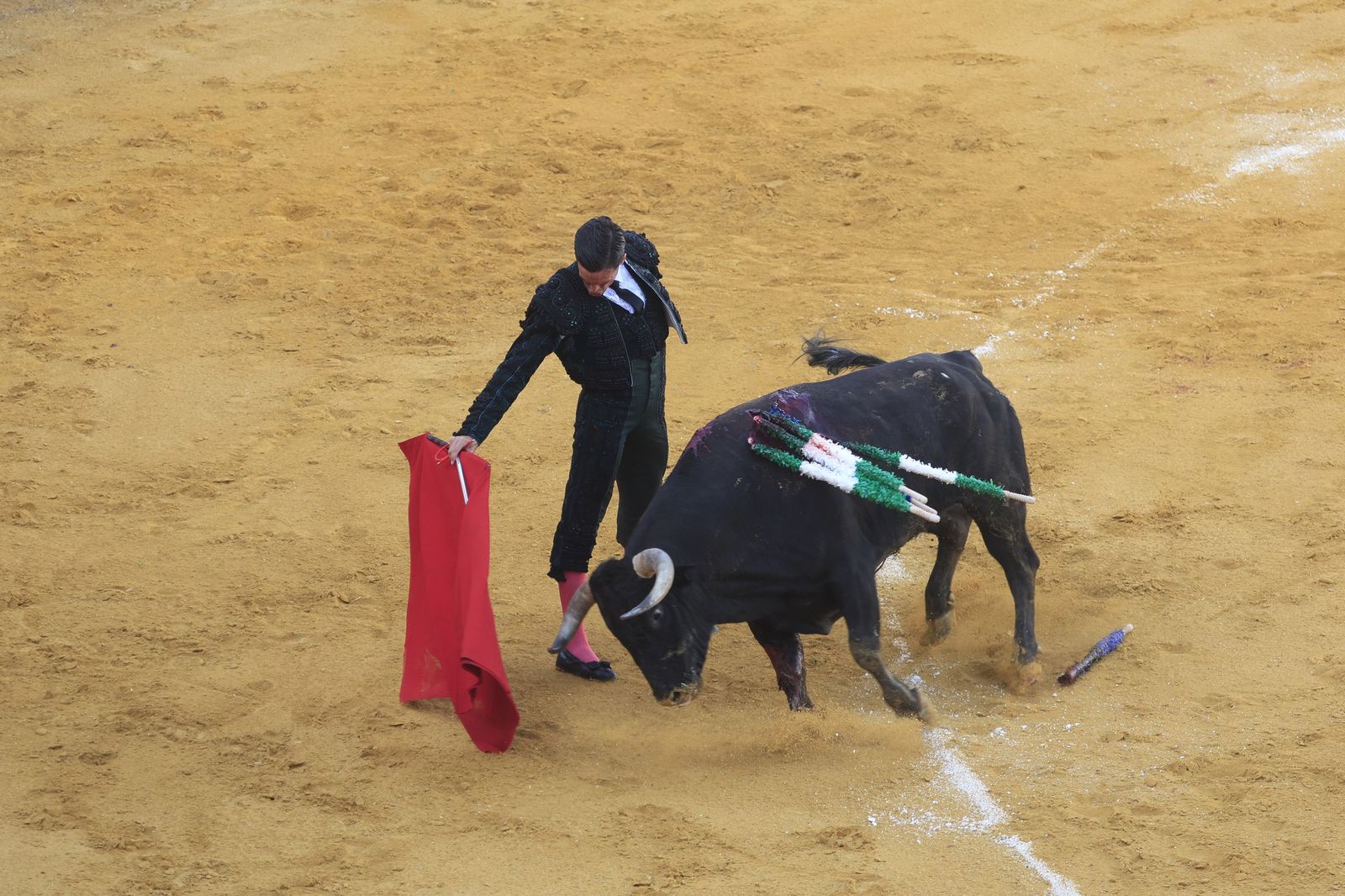 Fotos de la corrida de toros de la Feria de San Roque con David Galván, Román y Joaquín Galdós