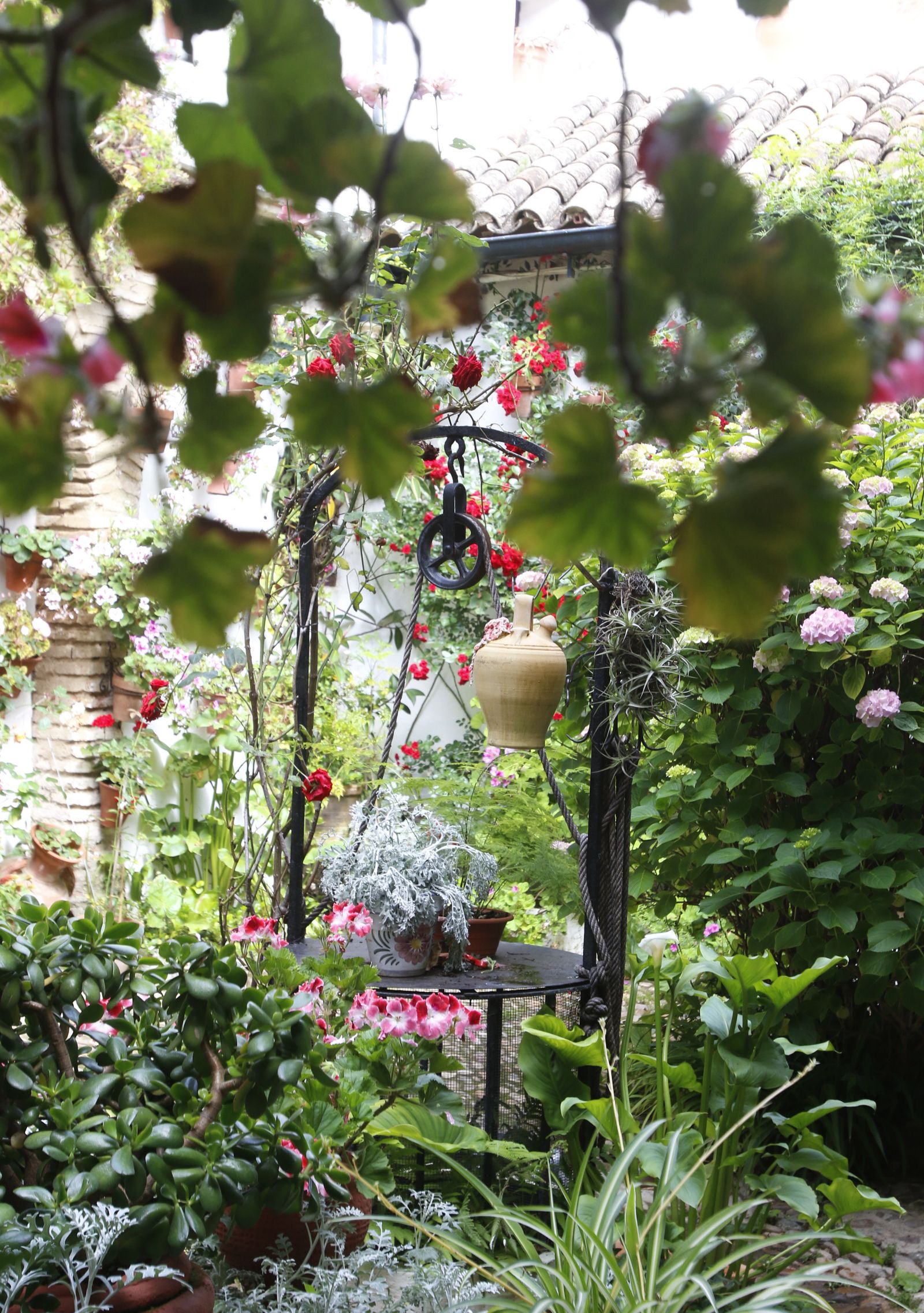 Los Patios de Córdoba en tiempos de crisis: Parras, 6