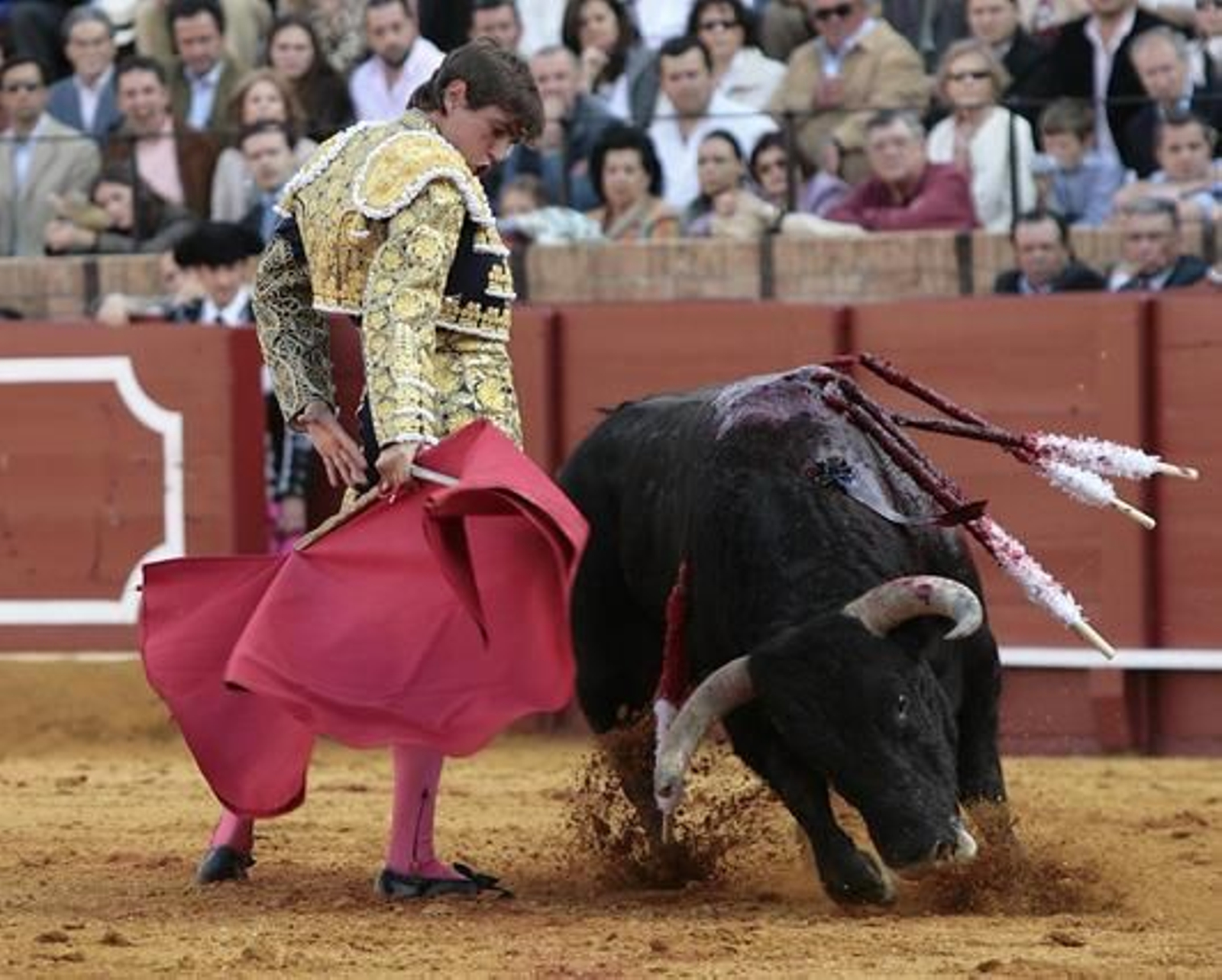 El quinto toro provocó a Delgado una herida de 15 centímetros de profundidad hacia arriba y otra de 10 hacia fuera. 

Foto: Juan Carlos Muñoz
