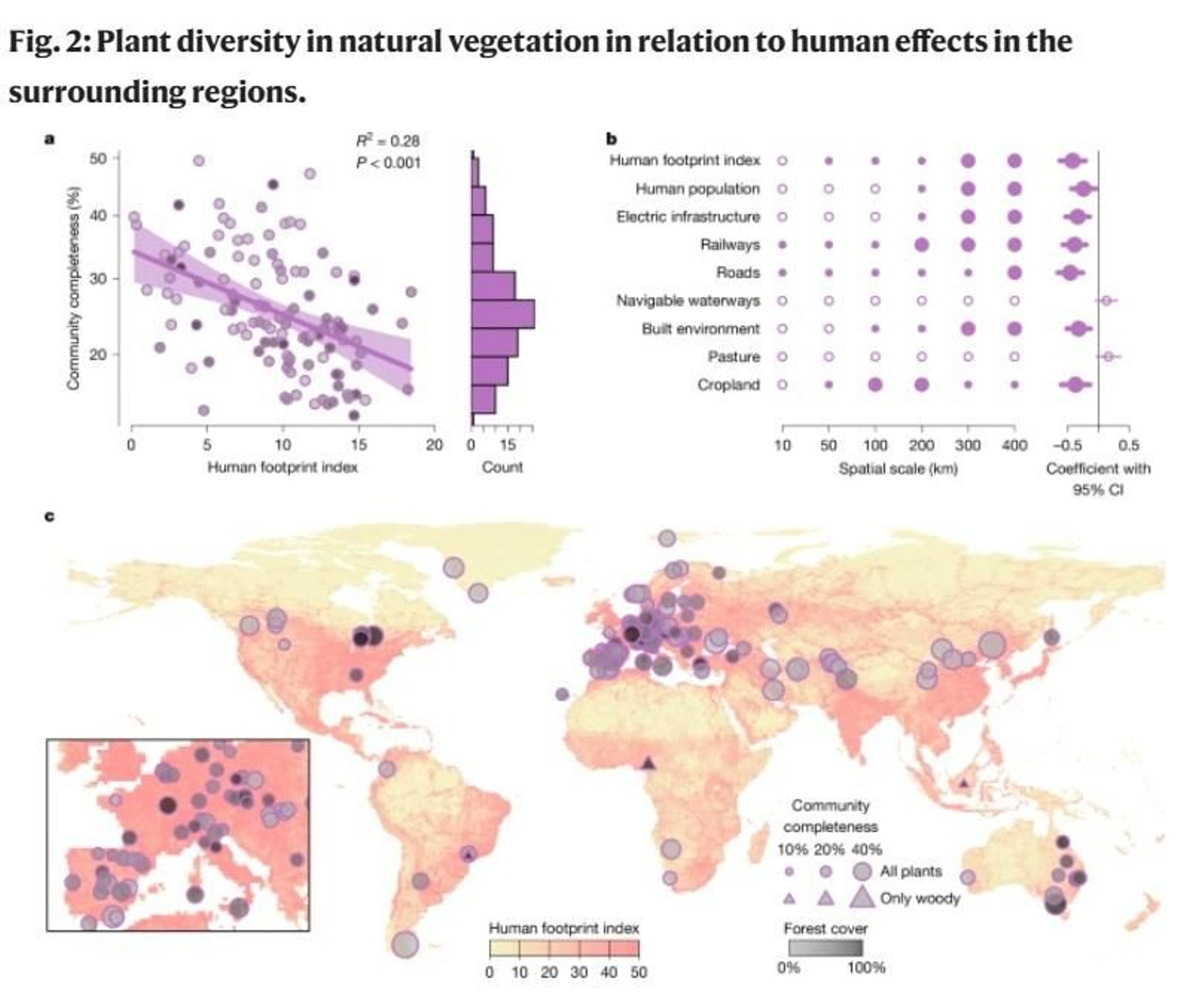 Una de las imágenes del estudio publicado este miércoles en Nature