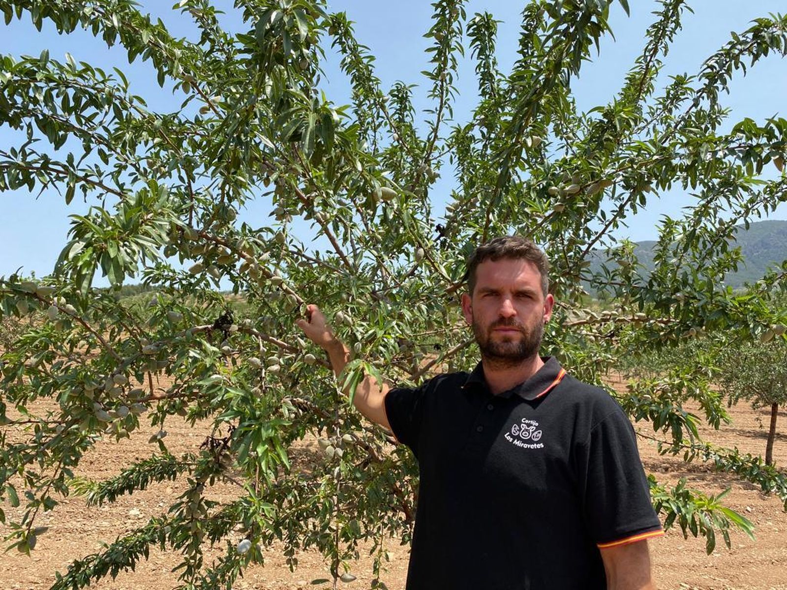 David Miravete en la finca de almendros.