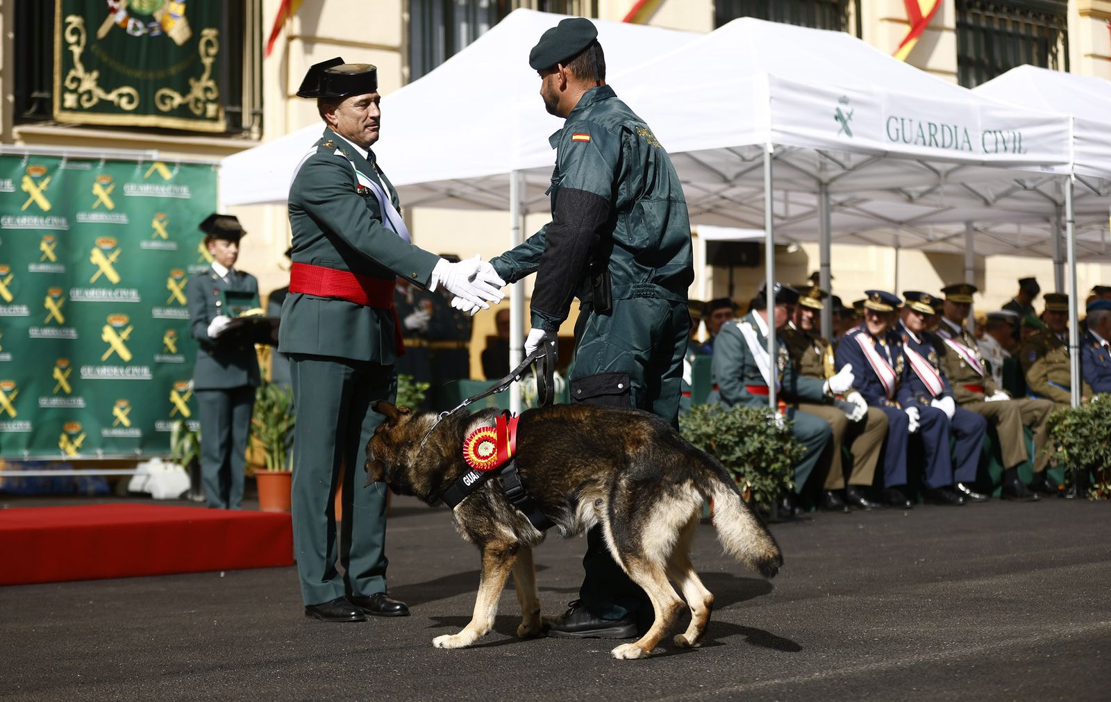 La Guardia Civil celebra el día de su Patrona, todas las imágenes