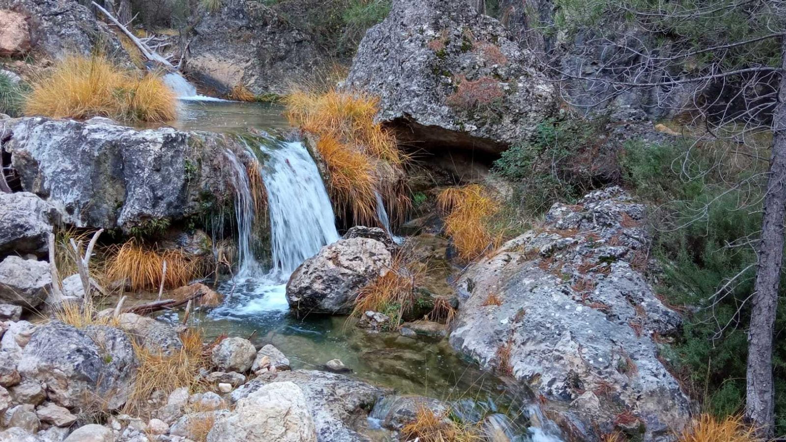 Cascadas de Guazalamanco