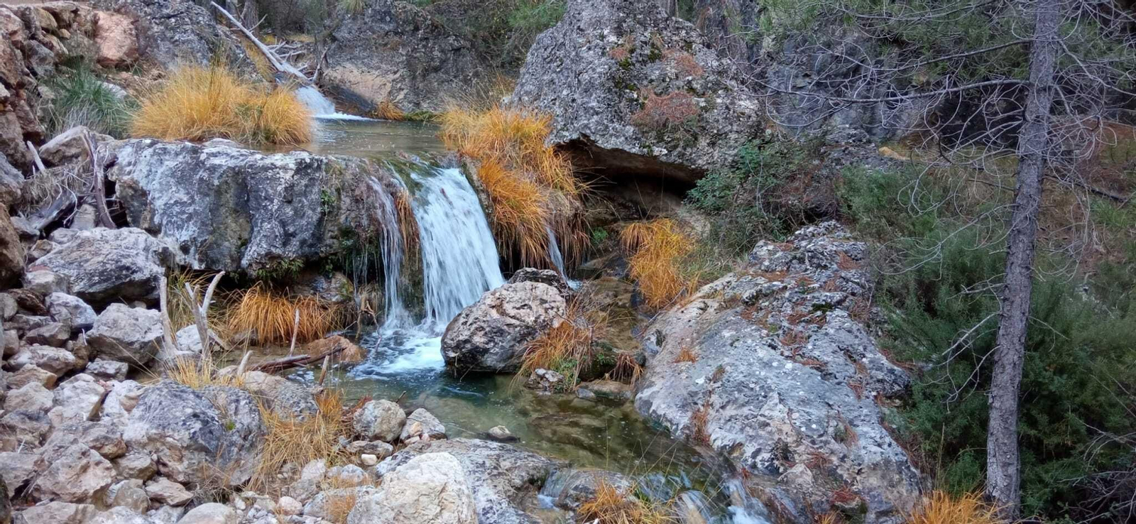 Cascadas de Guazalamanco