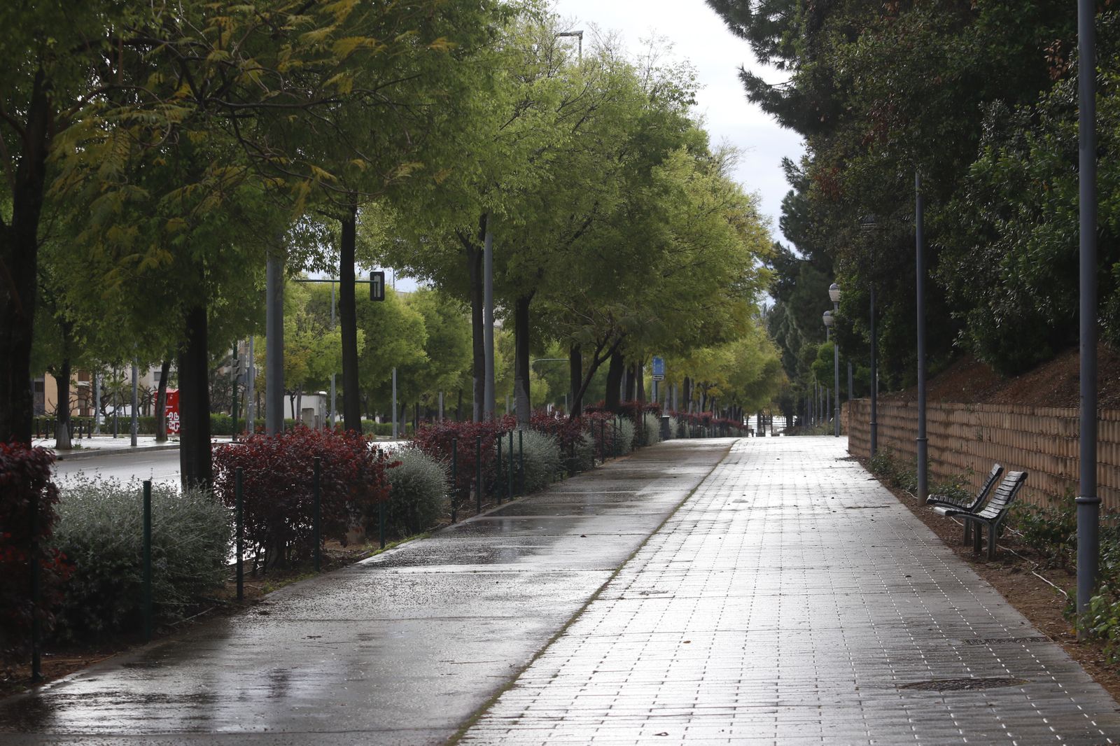 Coronavirus en Córdoba: Las fotos de una ciudad vacía