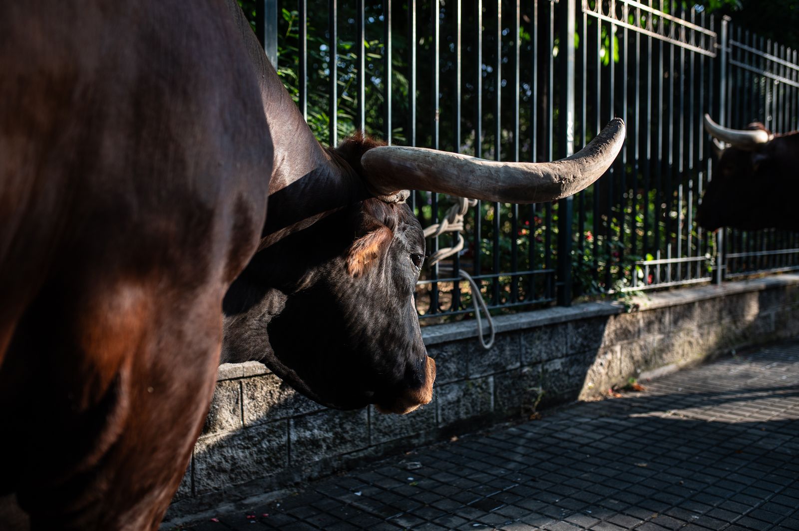 La Hermandad de Sevilla Sur