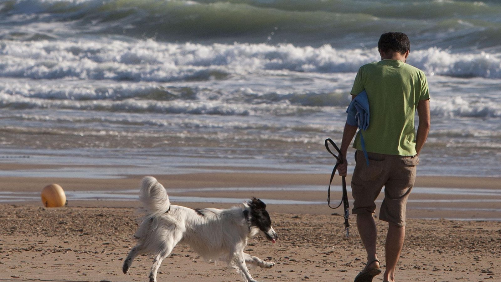 Un hombre juega con su perro en una playa isleña. Un hombre juega con su perro en una playa isleña.