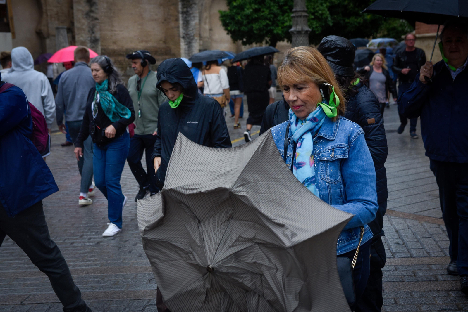 Domingo de turismo bajo la lluvia