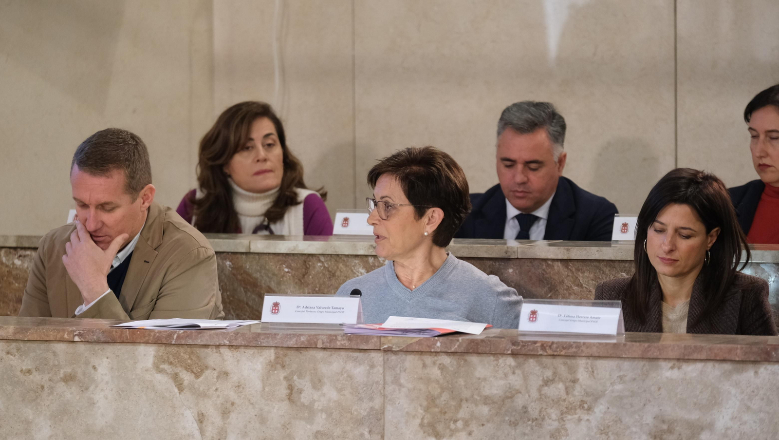 Imágenes del Pleno del Ayuntamiento de Almería
