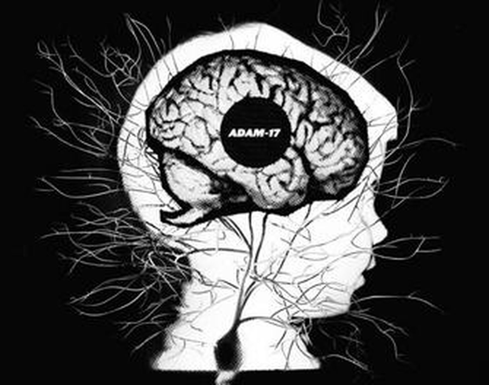 Una patente para generar neuronas