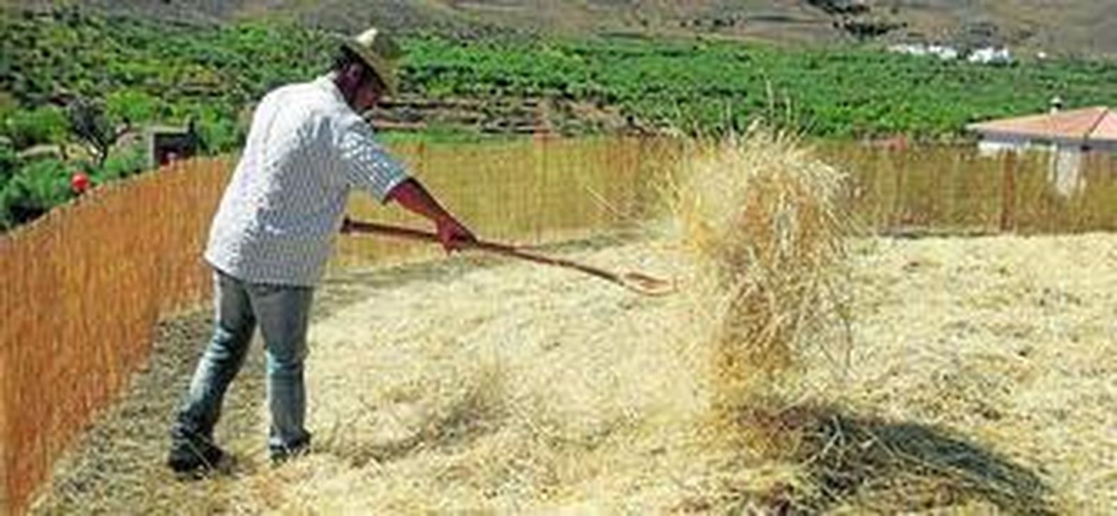 Recuperando las tradiciones