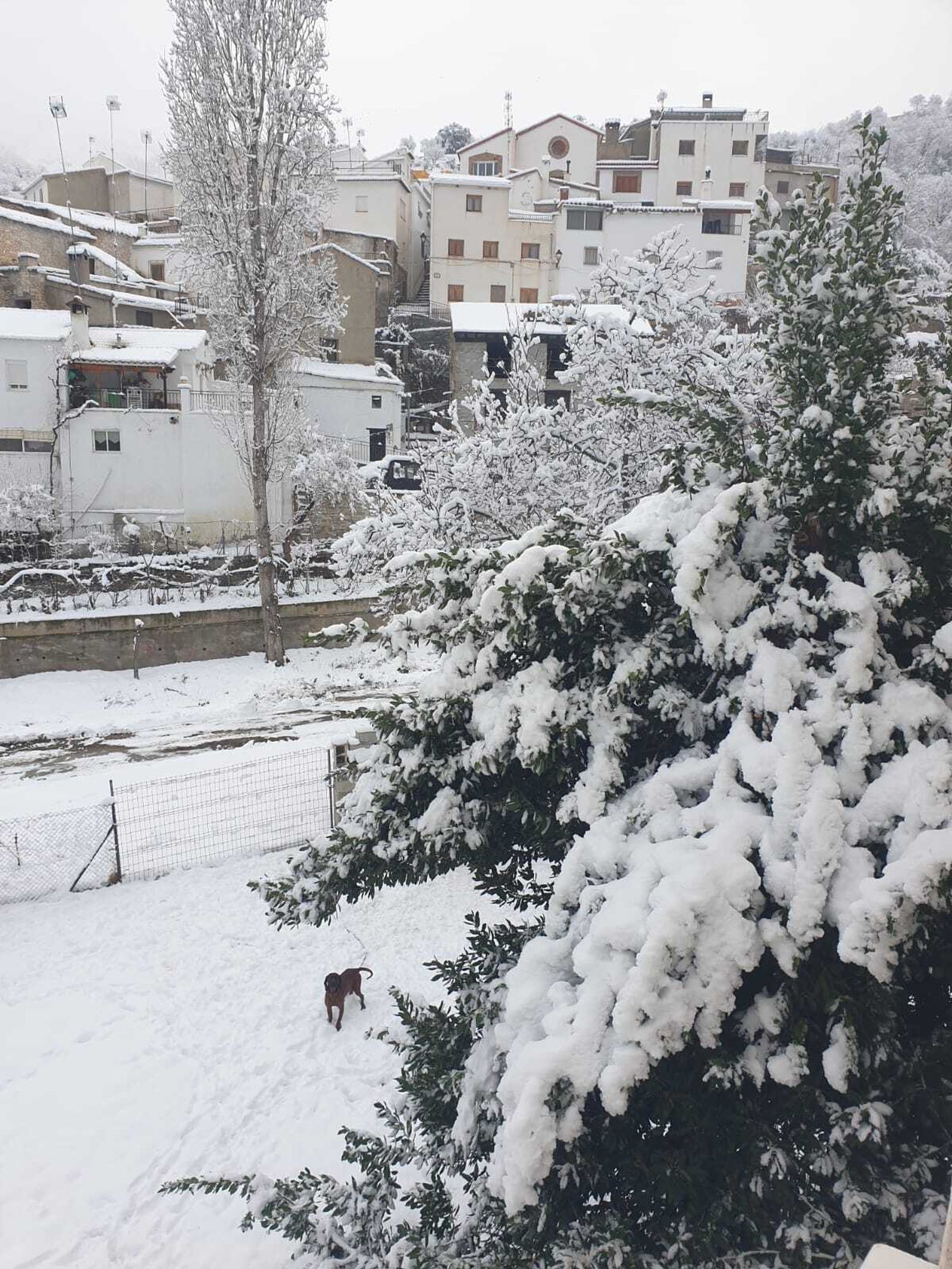 Primera gran nevada en Almería
