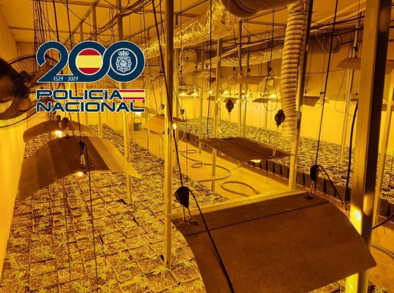 Interior de la nave con las 1260 plantas