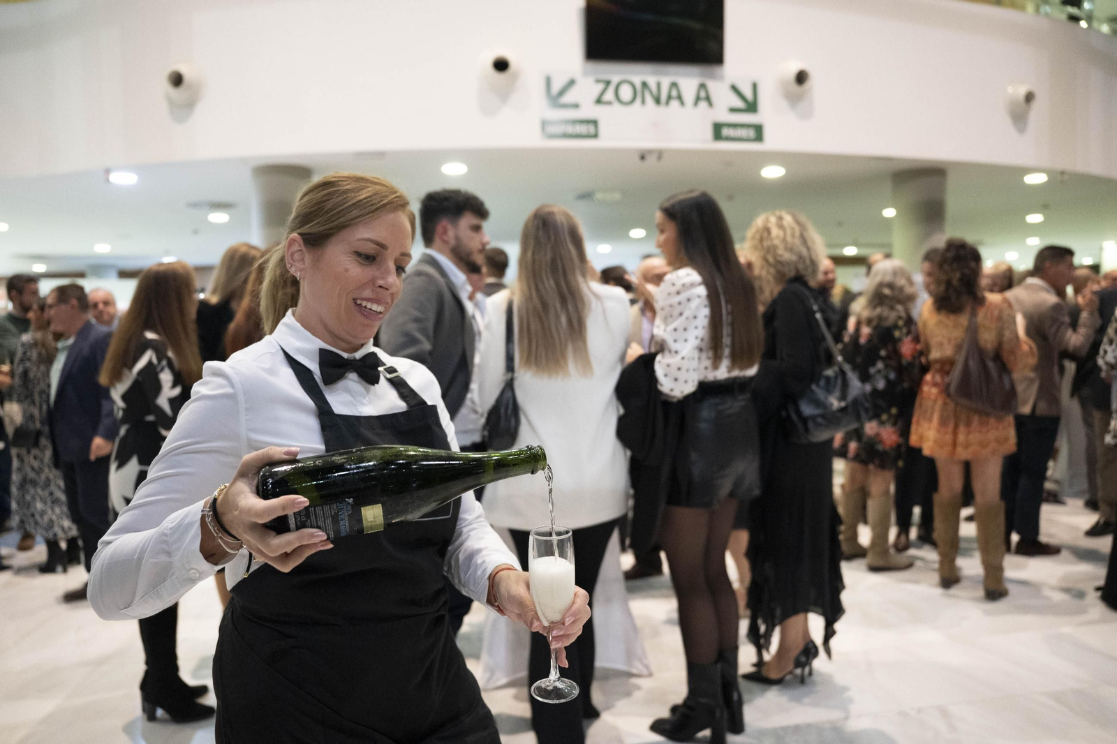 La gala de los XIII Premios de Diario de Almería, imagen por imagen