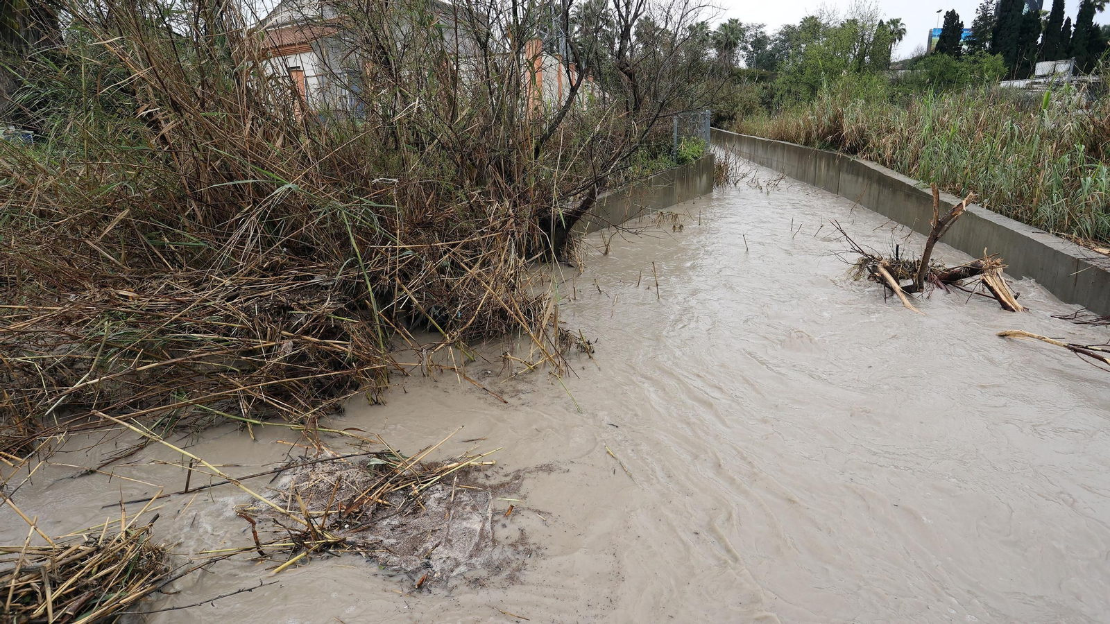 Imágenes del temporal de viento y lluvia en Jerez
