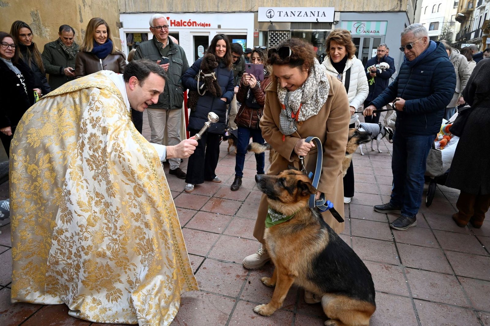 La bendición de animales por San Antón en Córdoba