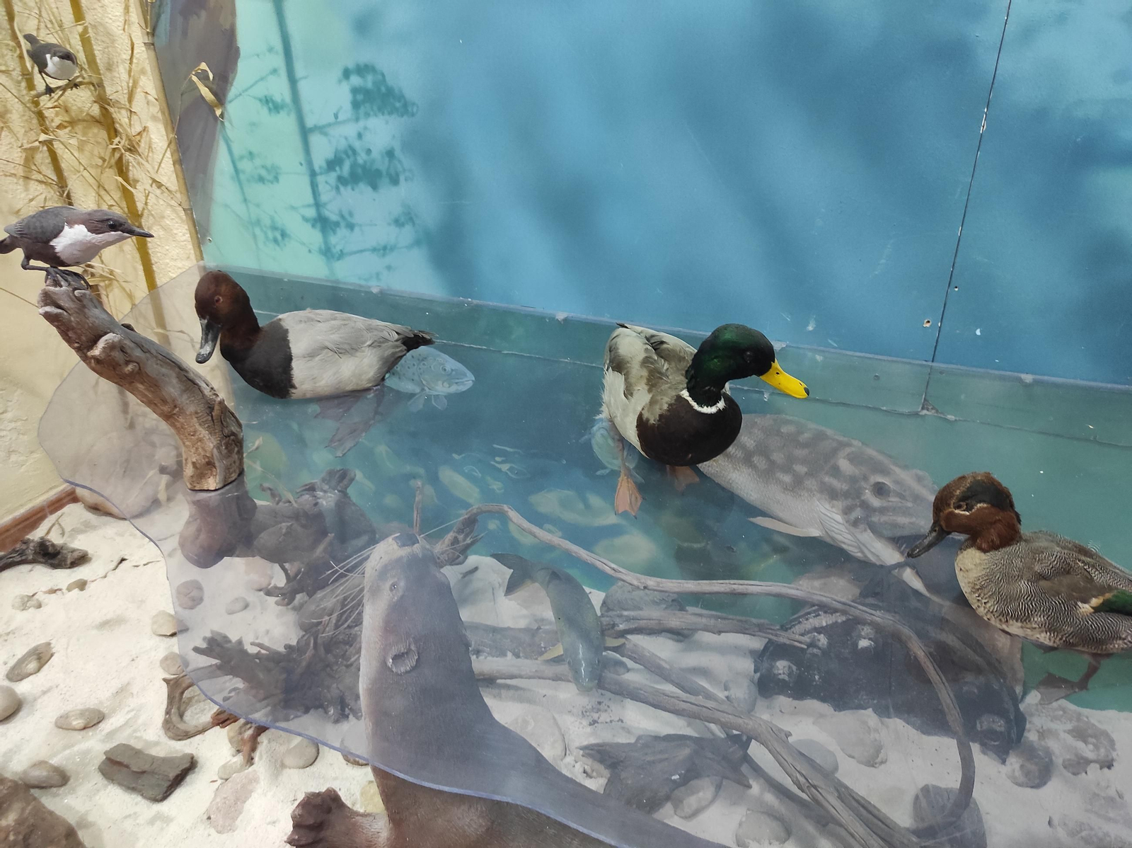 'Frondosa Naturaleza': el lugar perfecto para conocer la fauna y flora de Cazorla a dos pasos del centro