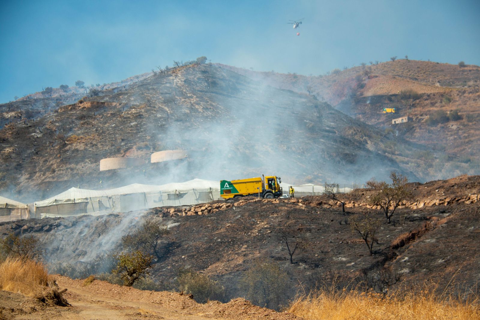 Extinguido el incendio forestal de Molvízar (Granada)