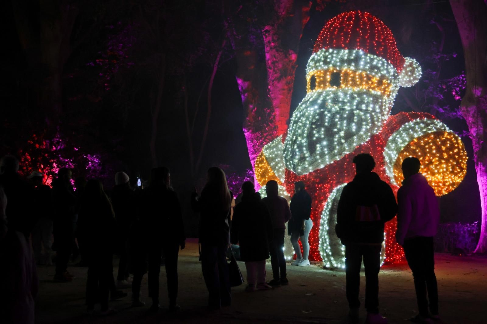 El espectaculo 'La Navidad en el Jardín de las Maravillas¡ en el Jardín Botánico, en imágenes