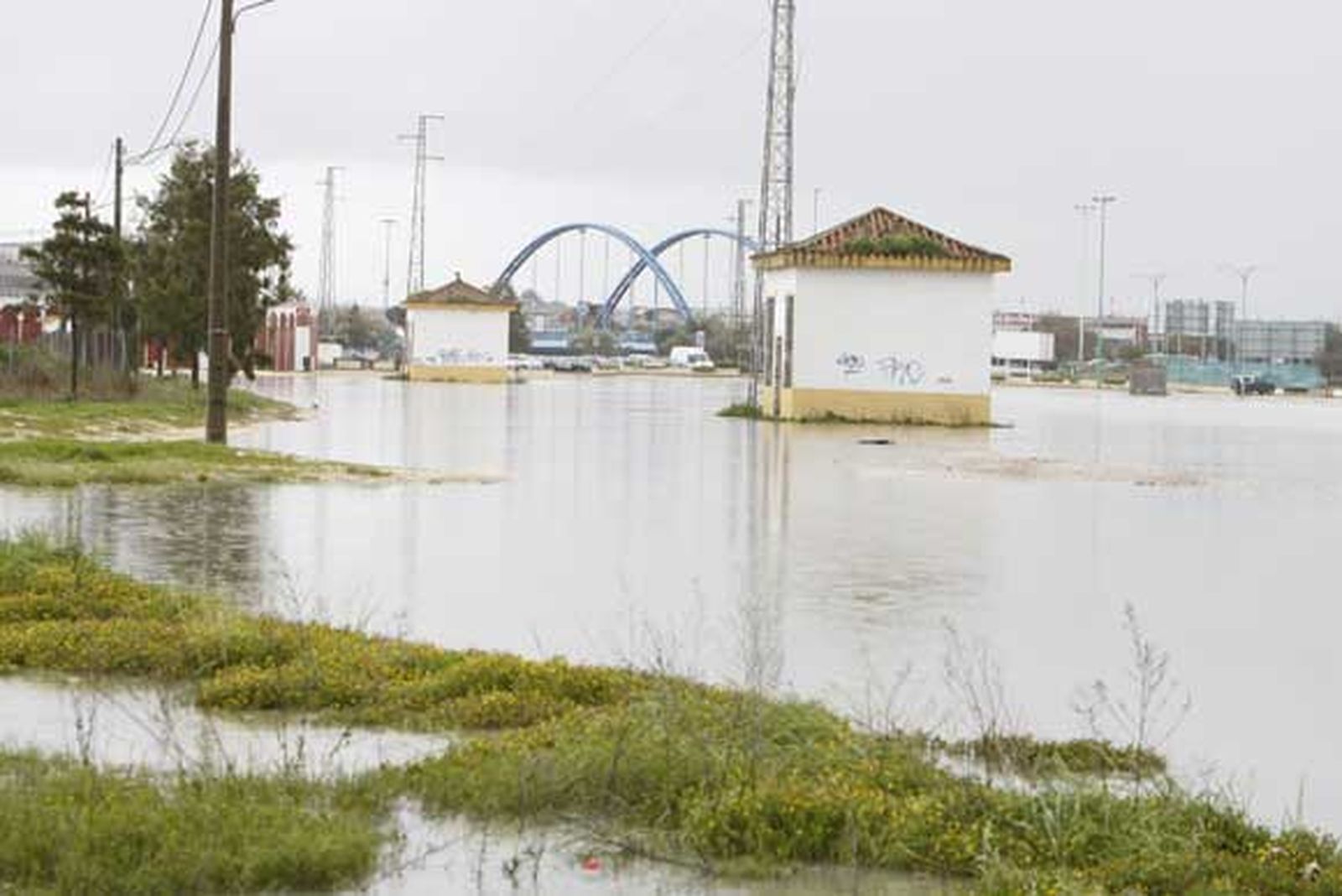 Chiclana se lleva la peor parte de las intensas lluvias que afectan a la provincia, provocando cortes de carreteras, desalojos de casas y crecidas de los ríos

Foto: Sonia Ramos/A.Mora/Rioja