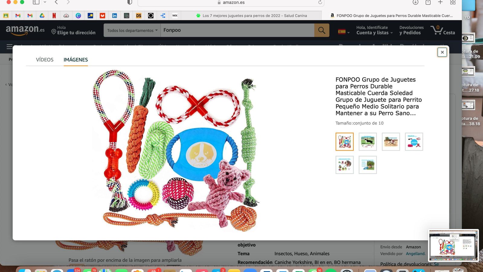 Grupo de Juguetes para Perros