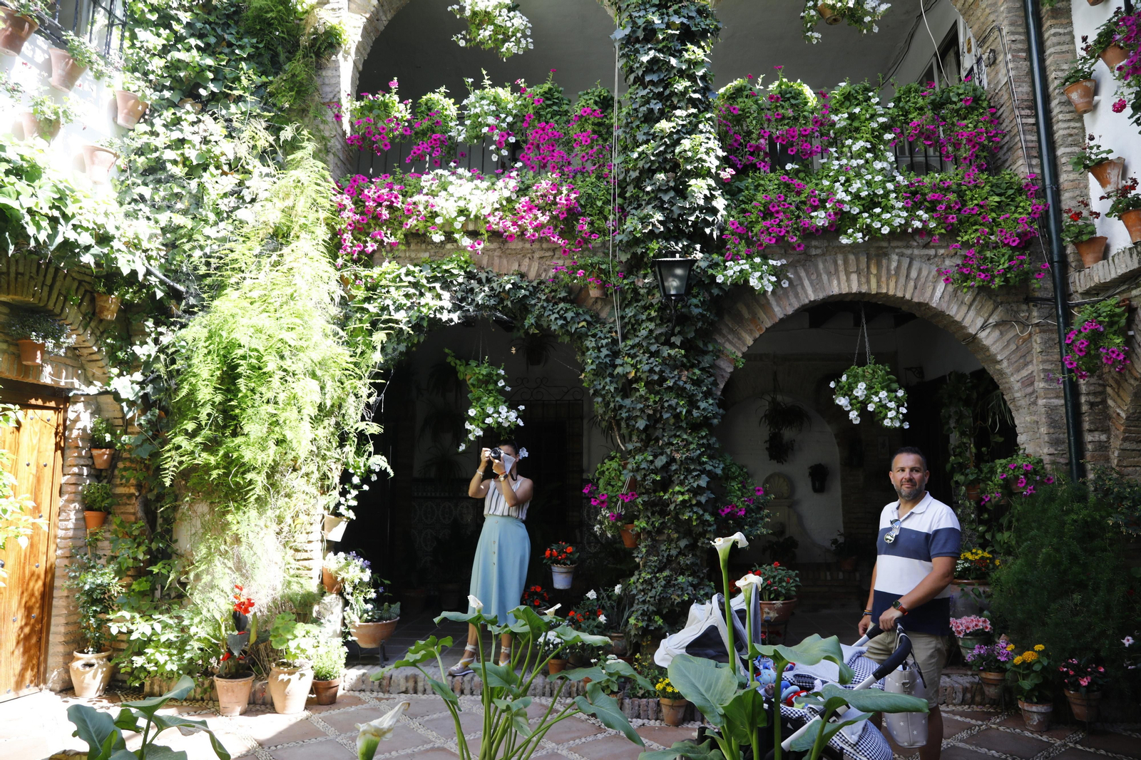 Los Patios de Córdoba se preparan para el fin de semana, en imágenes