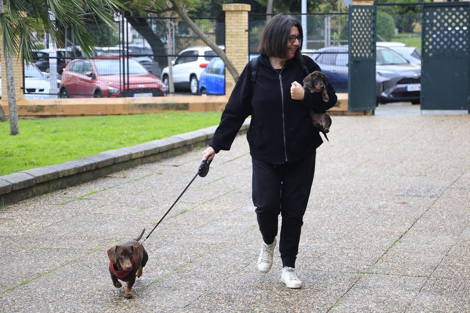 Las fotografías de la bendición de las mascotas por San Antón 2026