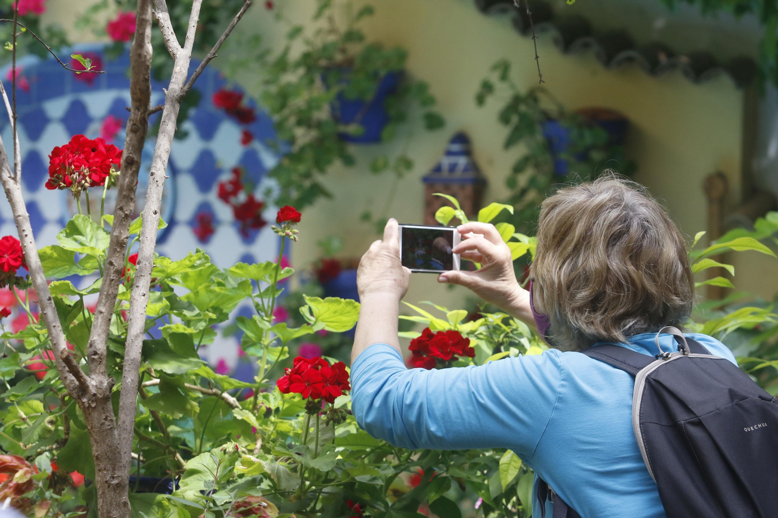 Gutiérrez de los Ríos, 33