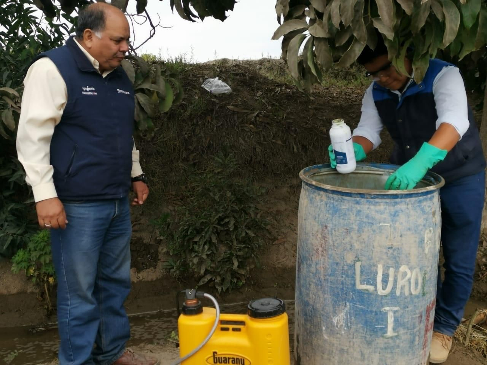 Empleo de Mixhor Plus en cultivo de alcachofa.