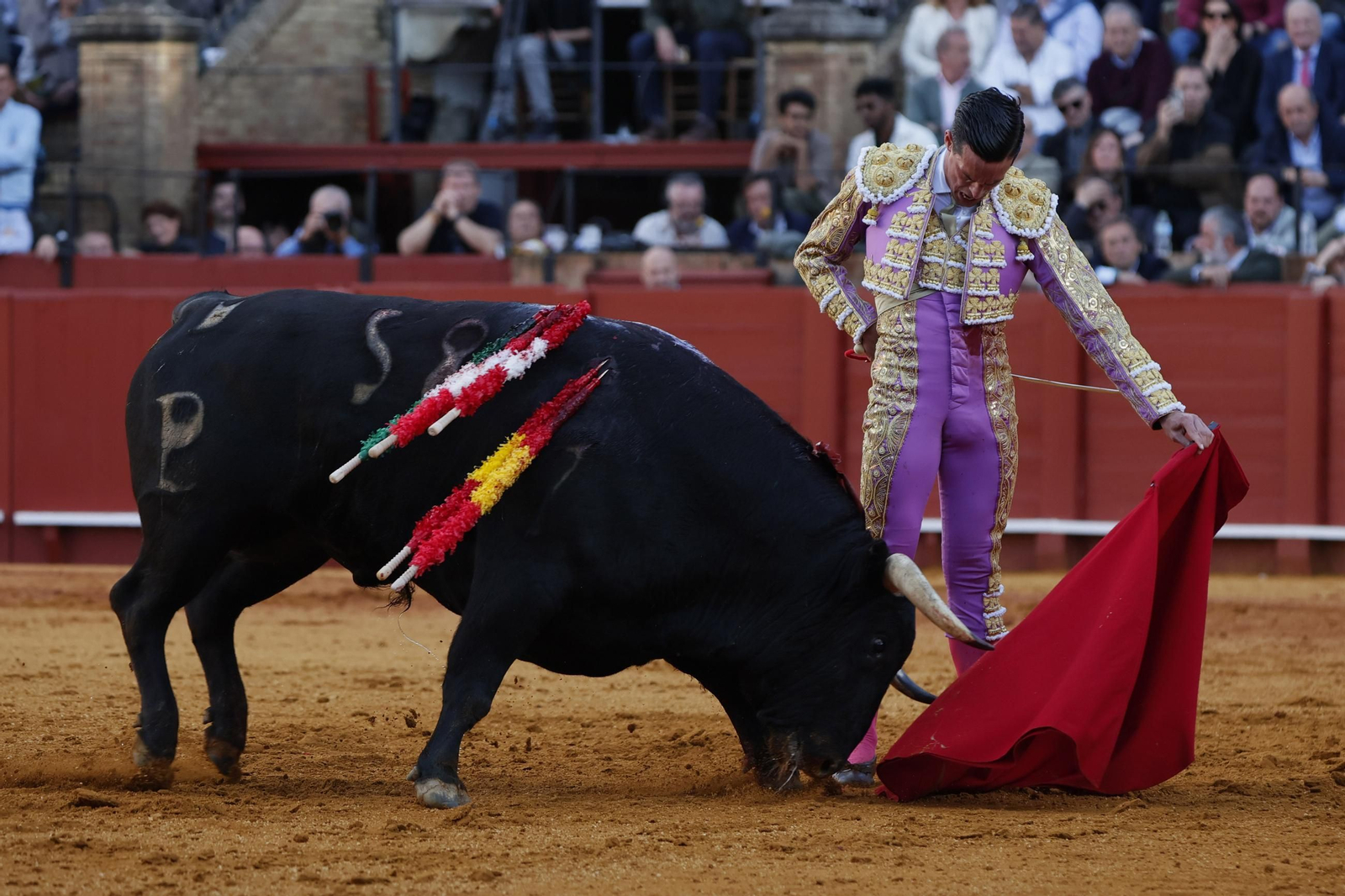 Las Imágenes del festejo