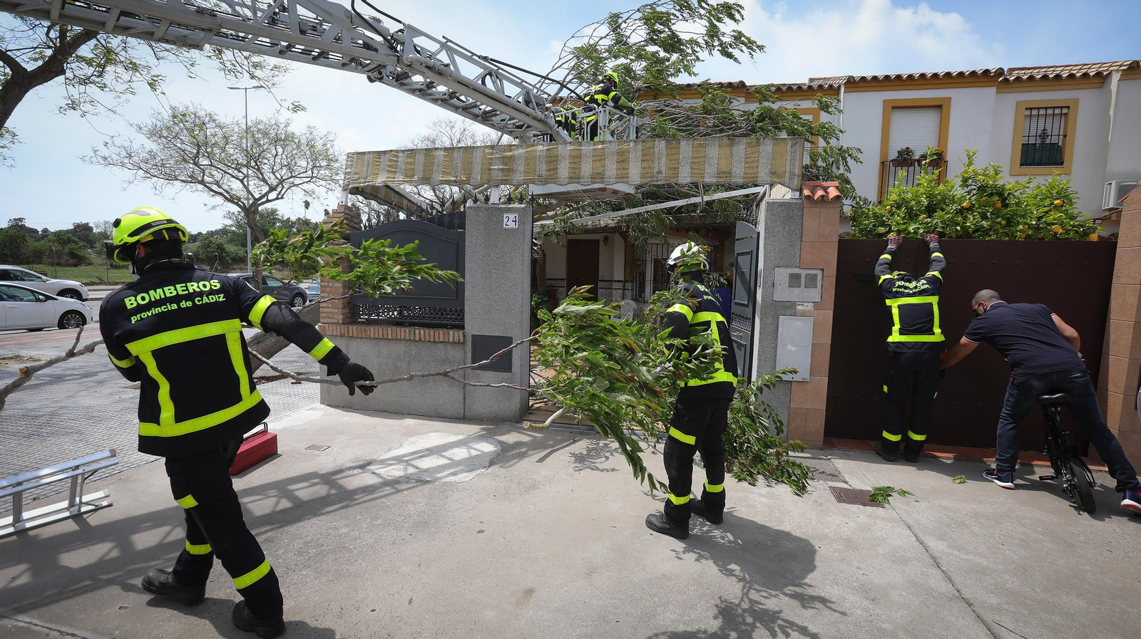 Cae un árbol en una casa por el fuerte temporal de viento que azota Jerez