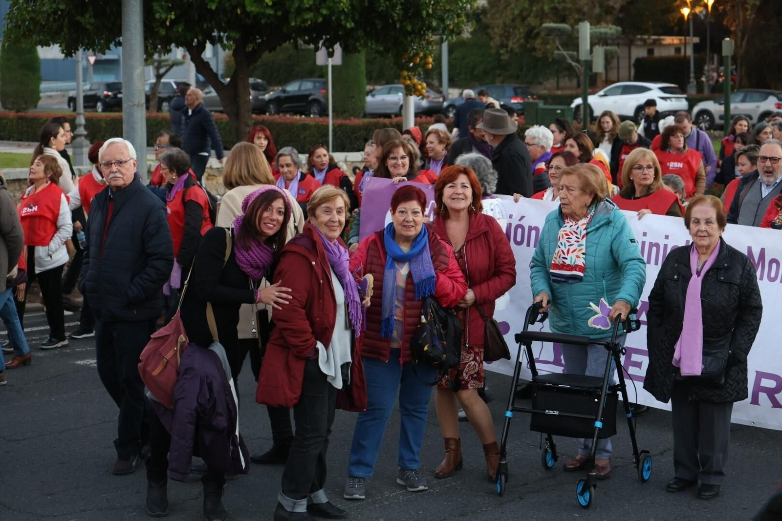 La manifestación del 25N en Córdoba, en imágenes
