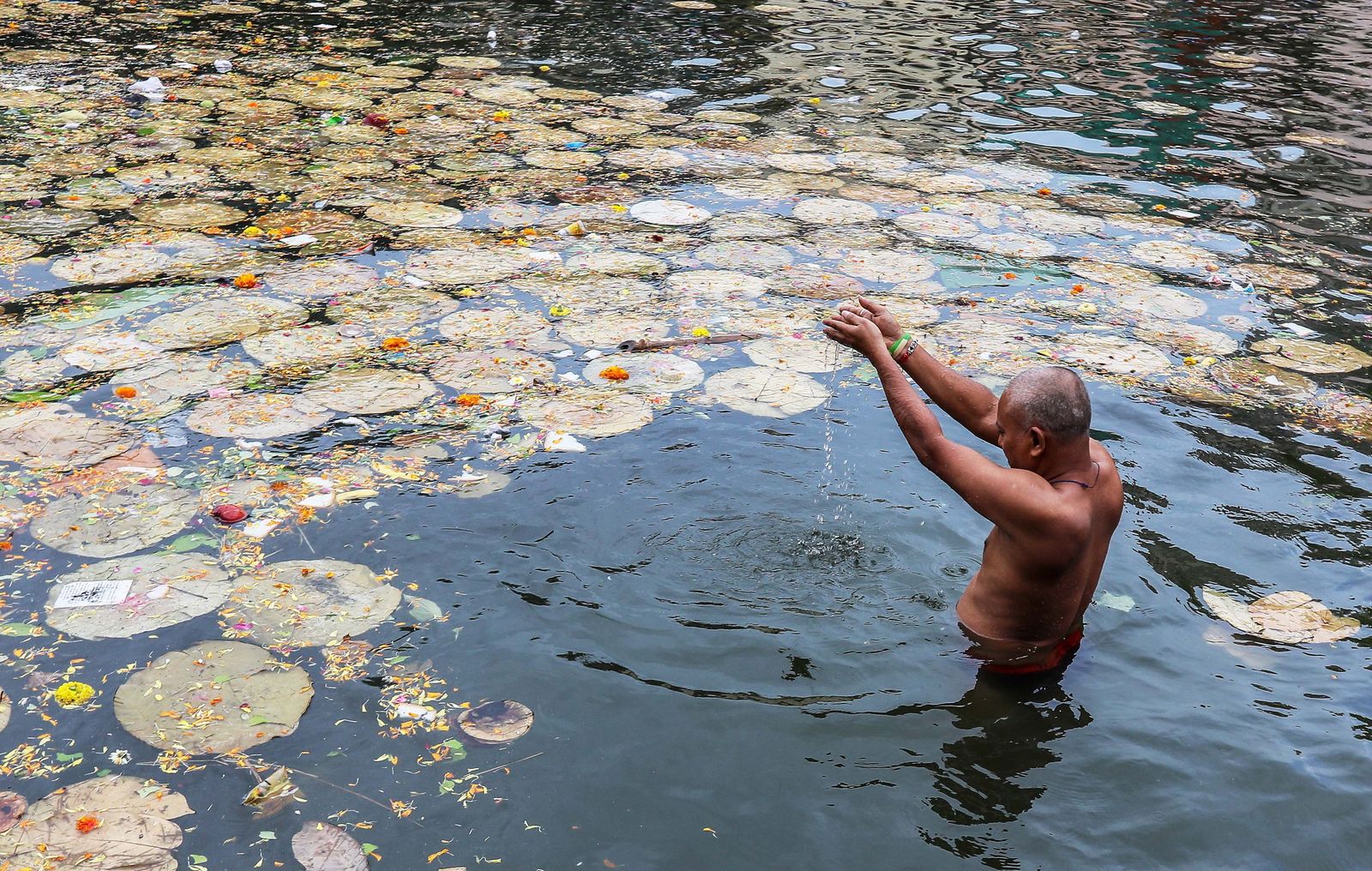 El Rito del Tarpan de la India en imágenes