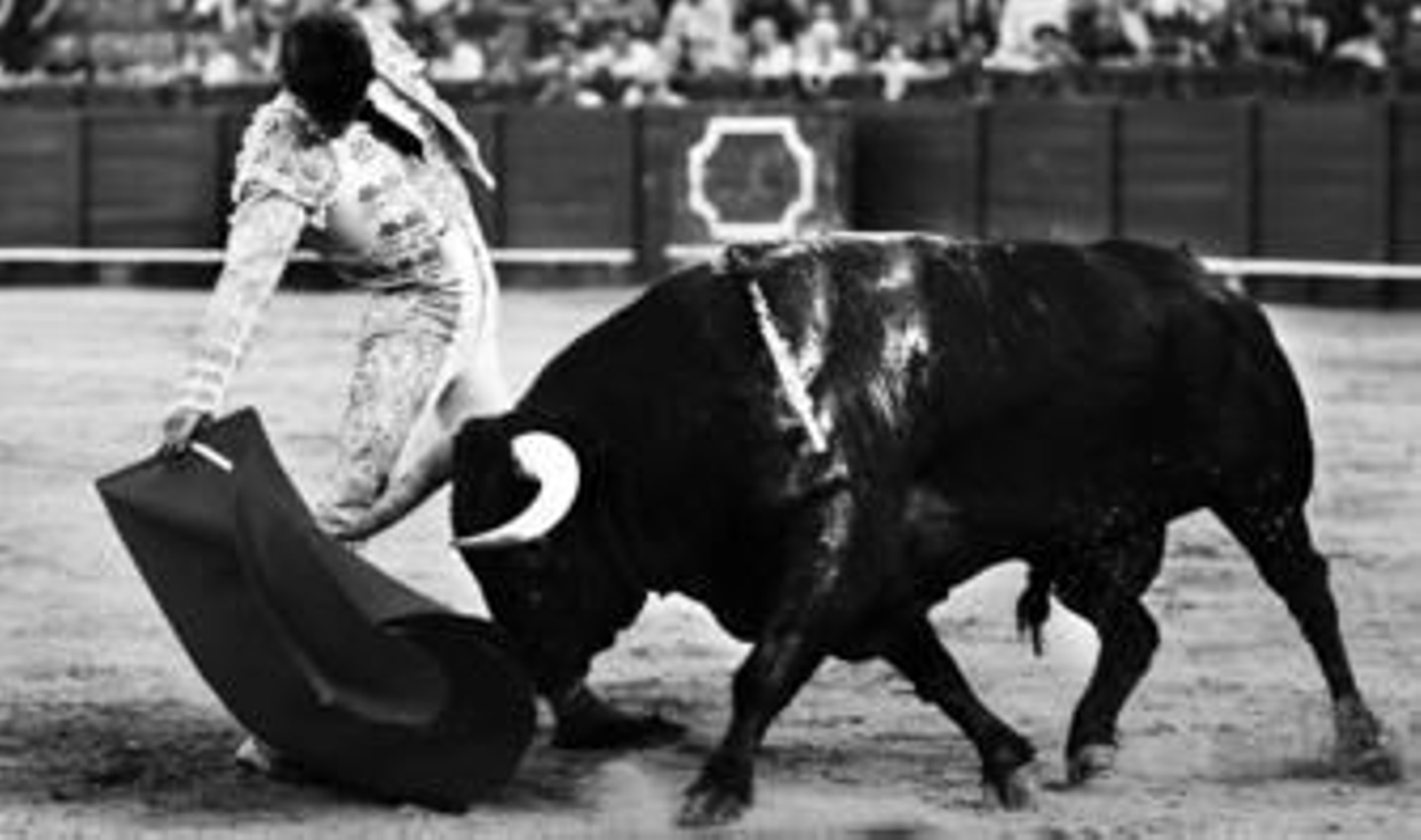 César Girón, en un muletazo con la diestra a su primer toro, en el que dio una vuelta al ruedo.