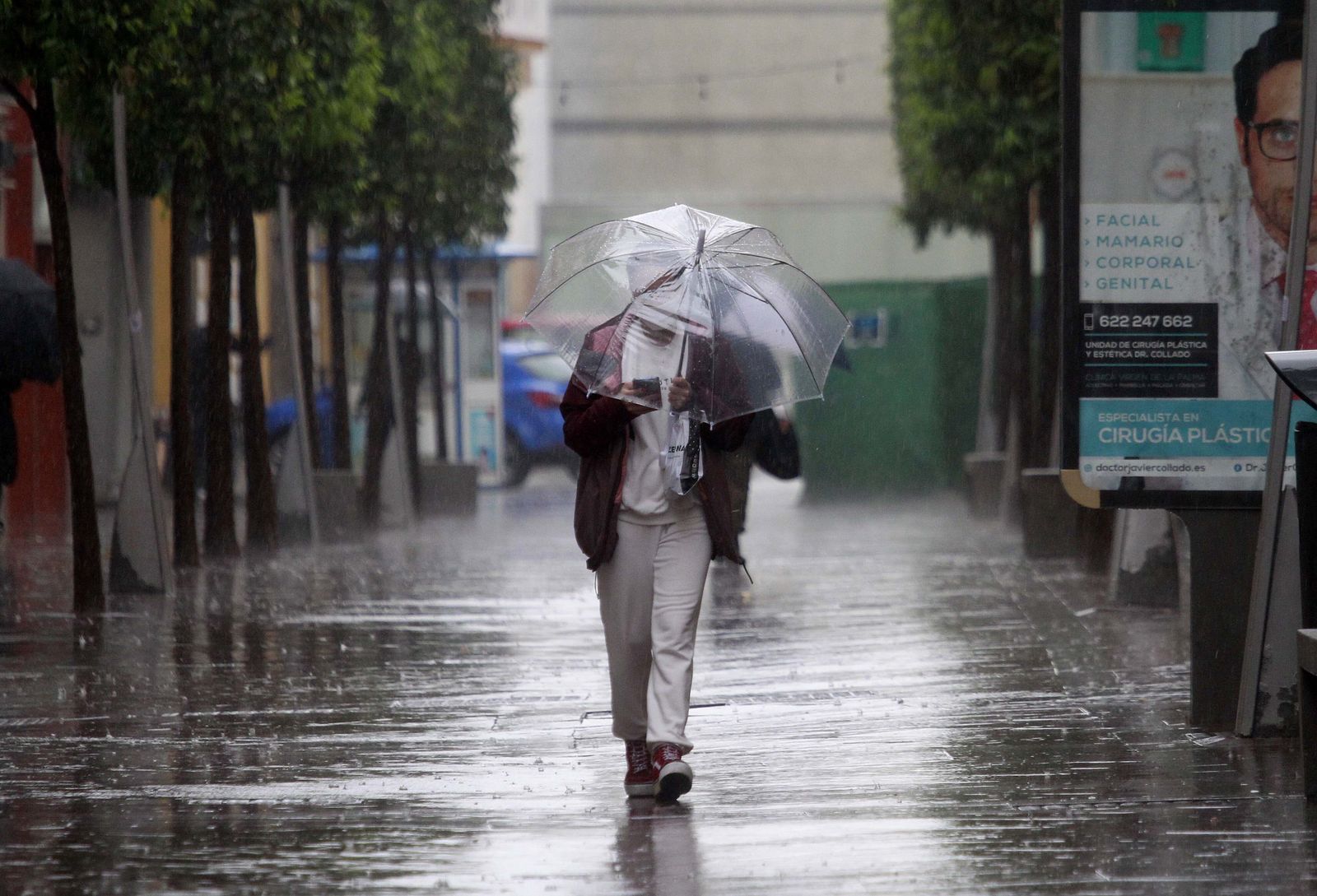 Un hombre camina con un paraguas en la calle Ancha de Algeciras