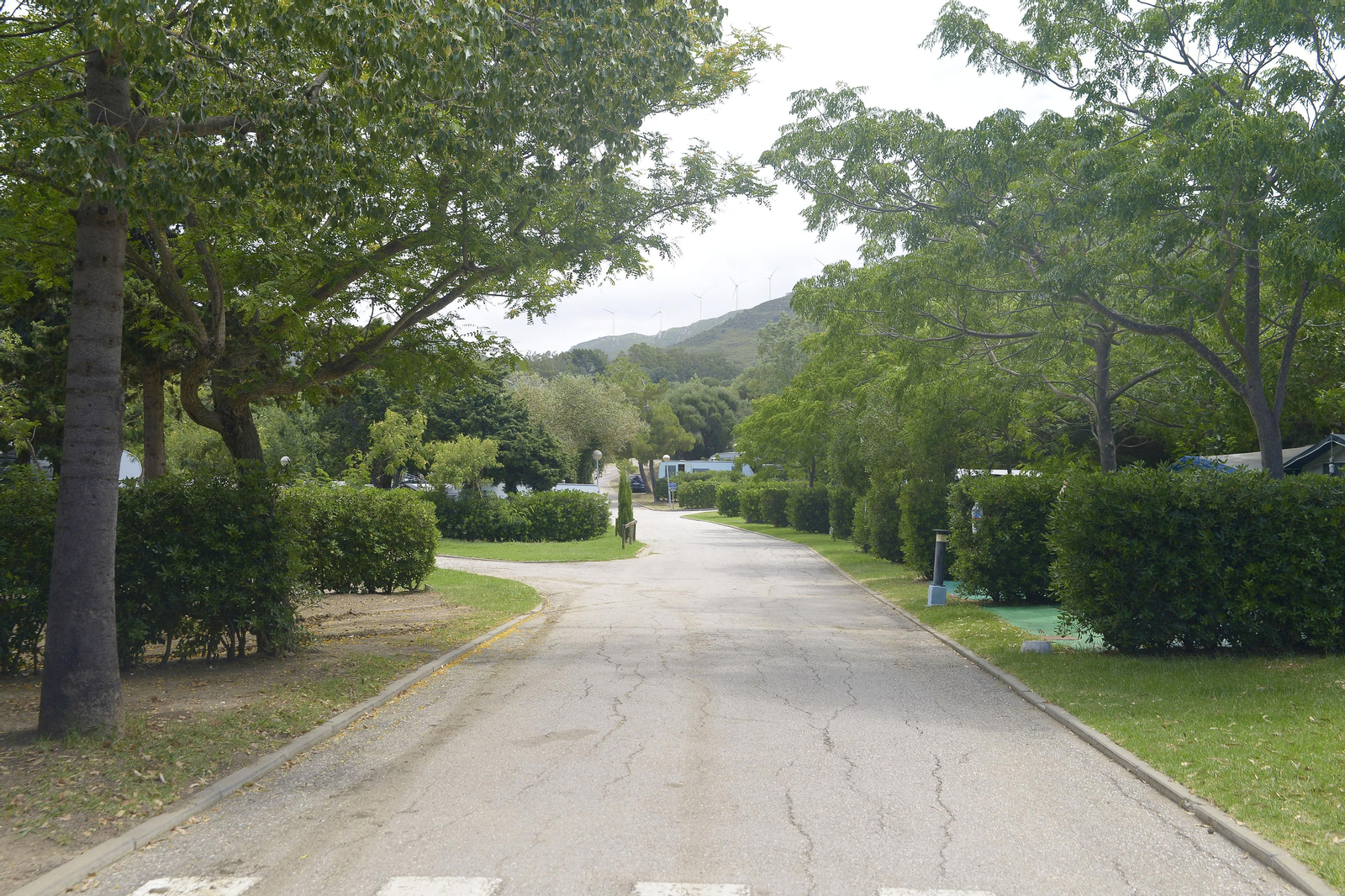 Fotos de la apertura del camping de Valdevaqueros