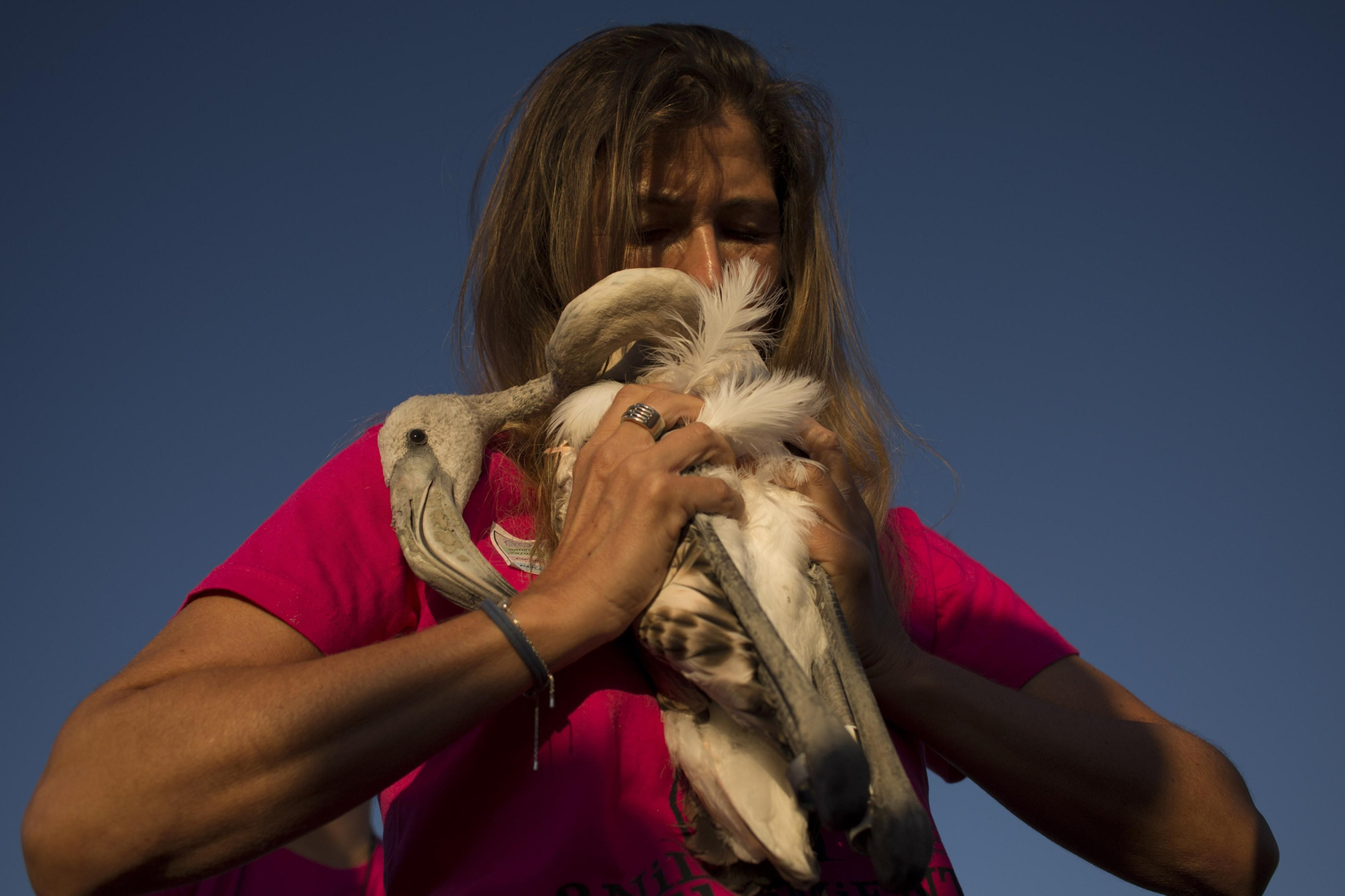 Amanecer flamenco en Fuente de Piedra