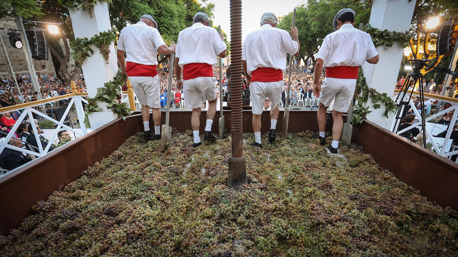 Imágenes de la tradicional pisa de la uva en Jerez