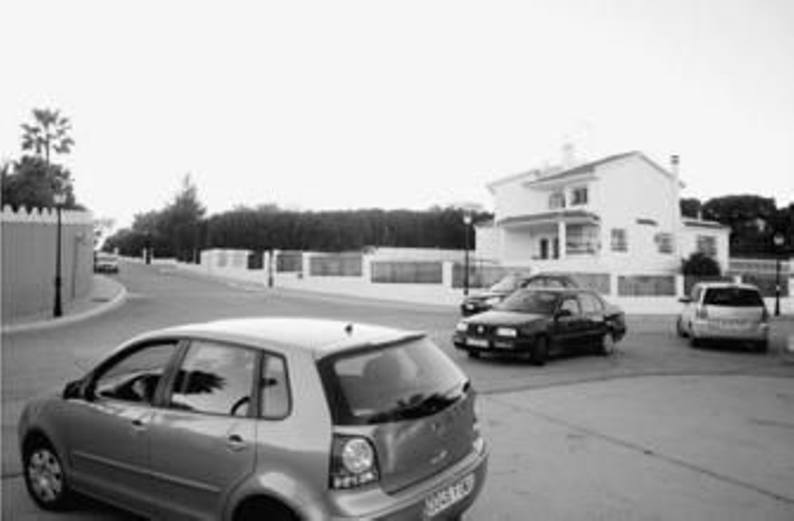 La calle Abedul de La Dehesa, donde se ha registrado el último robo.