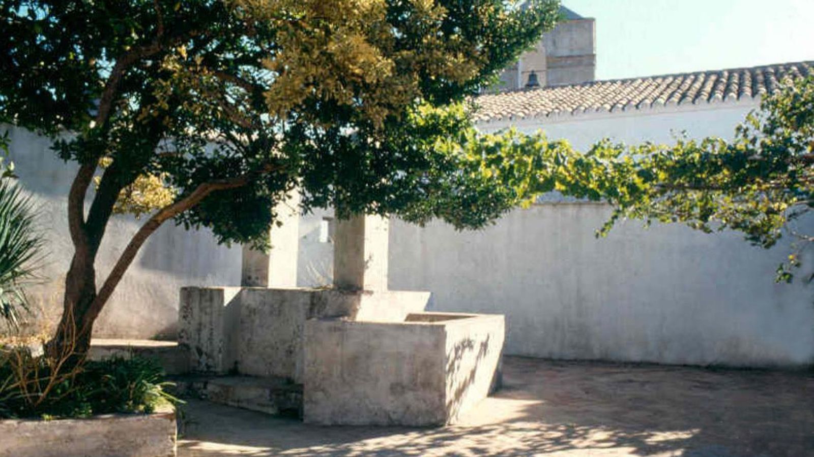 Uno de los dos aljibes de la villa que se halla situado en el patio del alcázar de Castellar, que servía para abastecer de agua potable a sus habitantes en caso de asedio.