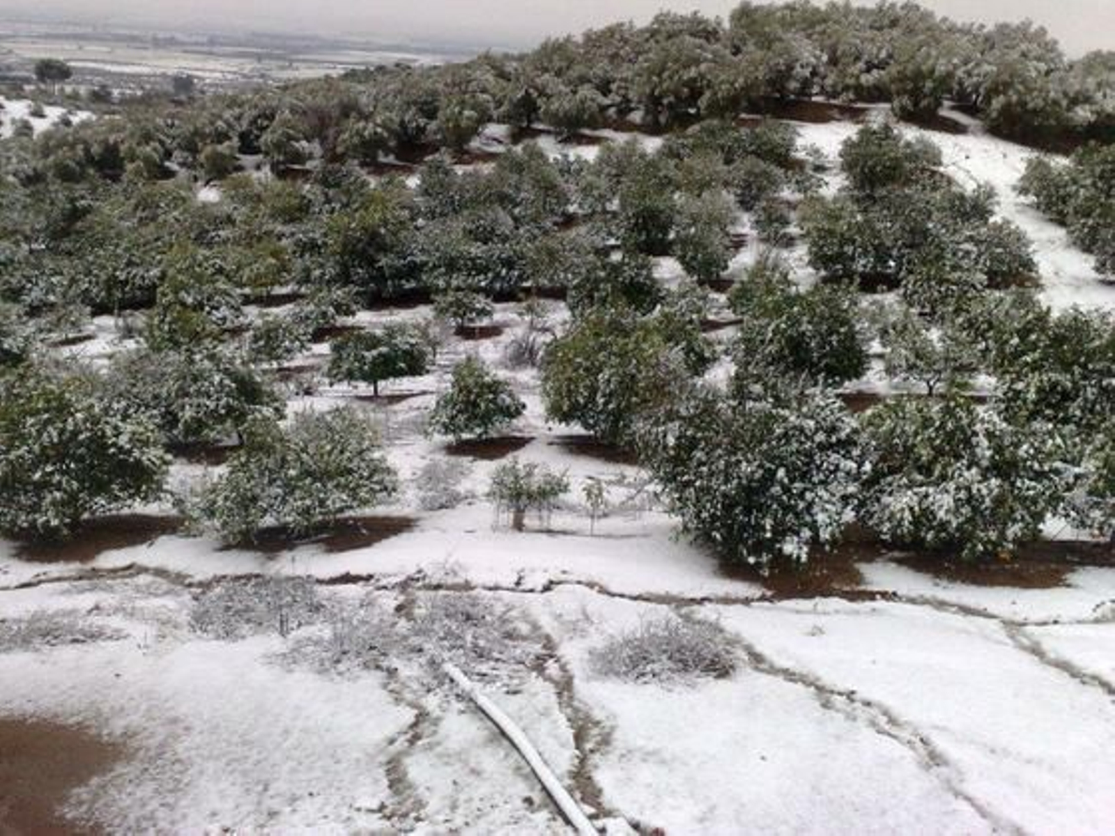Nieve en Lora del Rio./ Luis Valverde Parrondo
