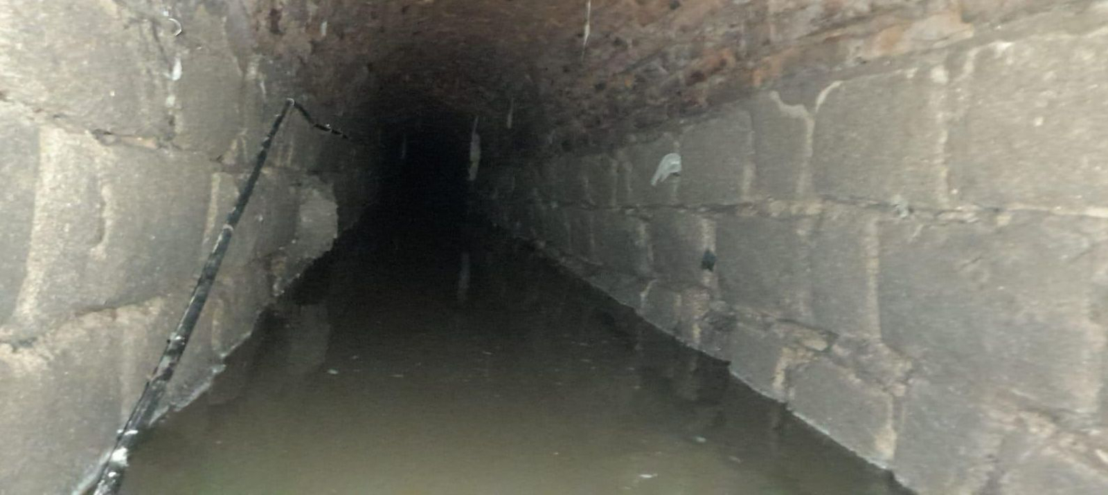 En las tripas de la calle Porvera de Jerez