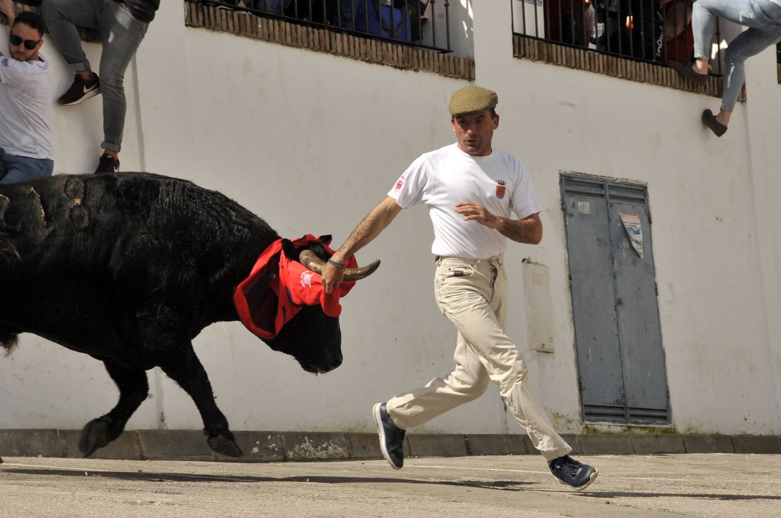 Imágenes del Toro del Aleluya en Arcos