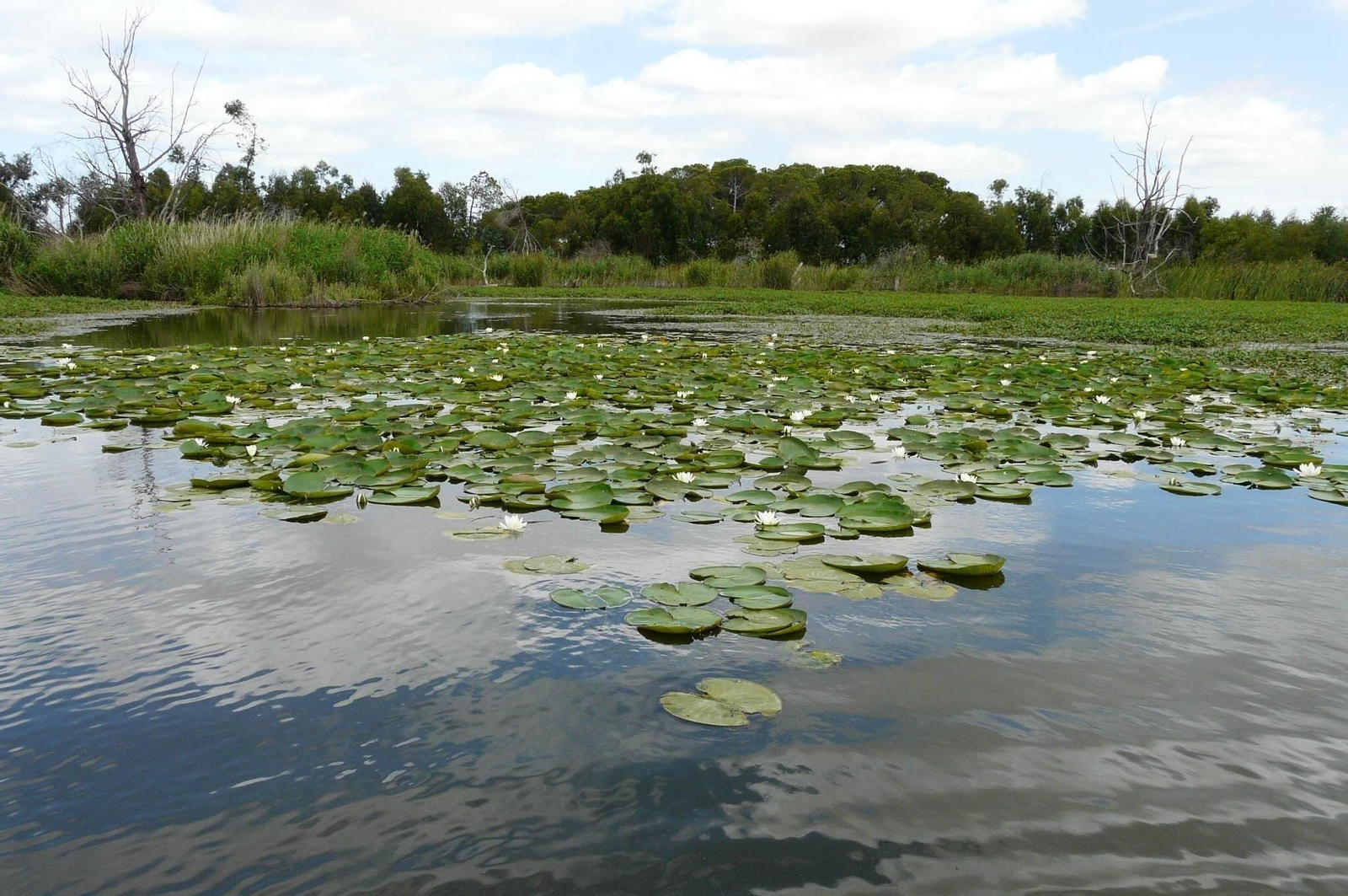 Laguna de las Madres.