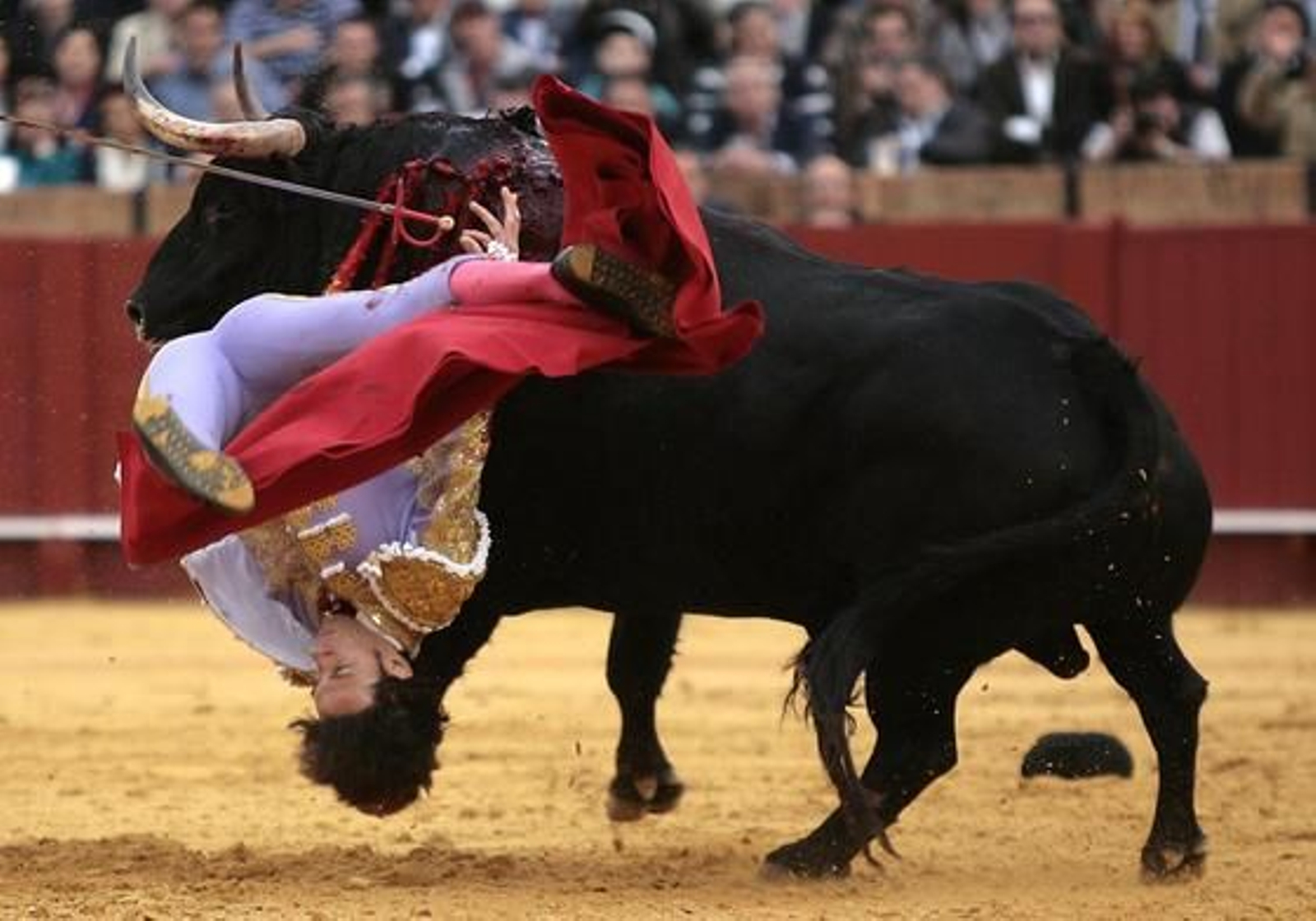 Detalle de la cogida.

Foto: Juan Carlos Muñoz