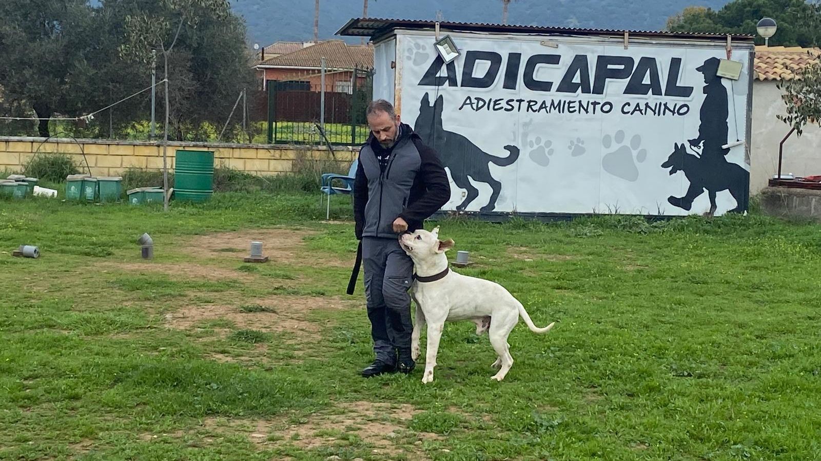 Curso de guía canino en Córdoba.