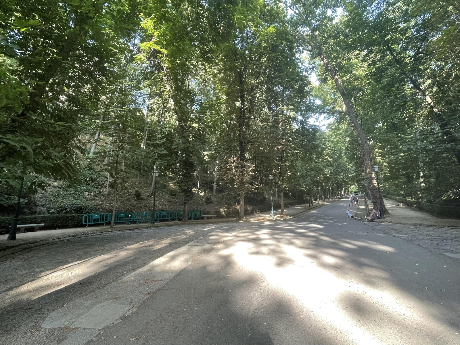 Los árboles hacen sombra casi en la totalidad del camino